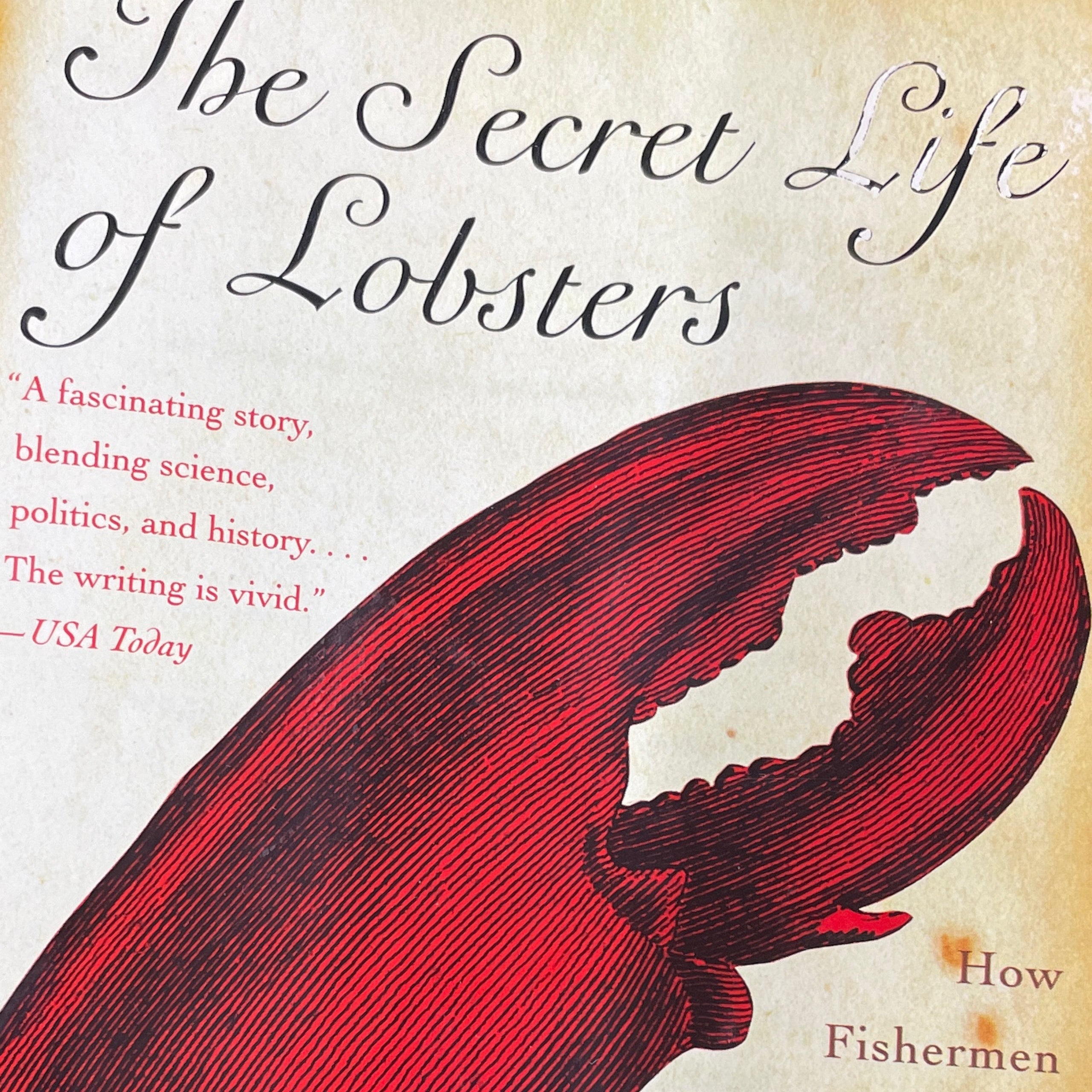 Lobsters And Air:  The Unexpected Breathing Secret Revealed! - 60onz0p